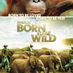 Photo du film : Born to be wild (3D)