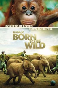 Affiche du film : Born to be wild (3D)