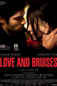Affiche du film = Love and Bruises