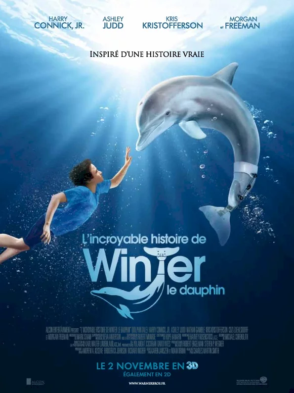 Photo 1 du film : L'incroyable histoire de Winter le dauphin