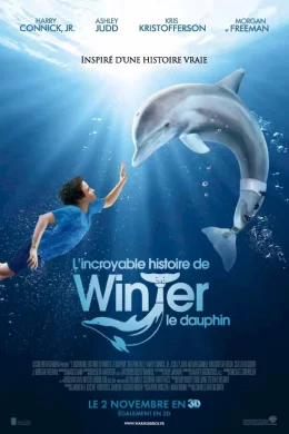 Affiche du film L'incroyable histoire de Winter le dauphin