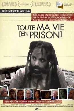 Affiche du film Toute ma vie en Prison 