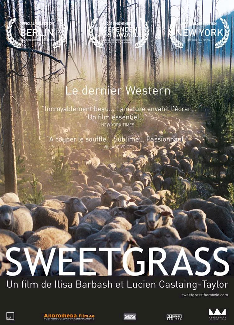 Photo 1 du film : Sweetgrass