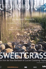 Affiche du film : Sweetgrass