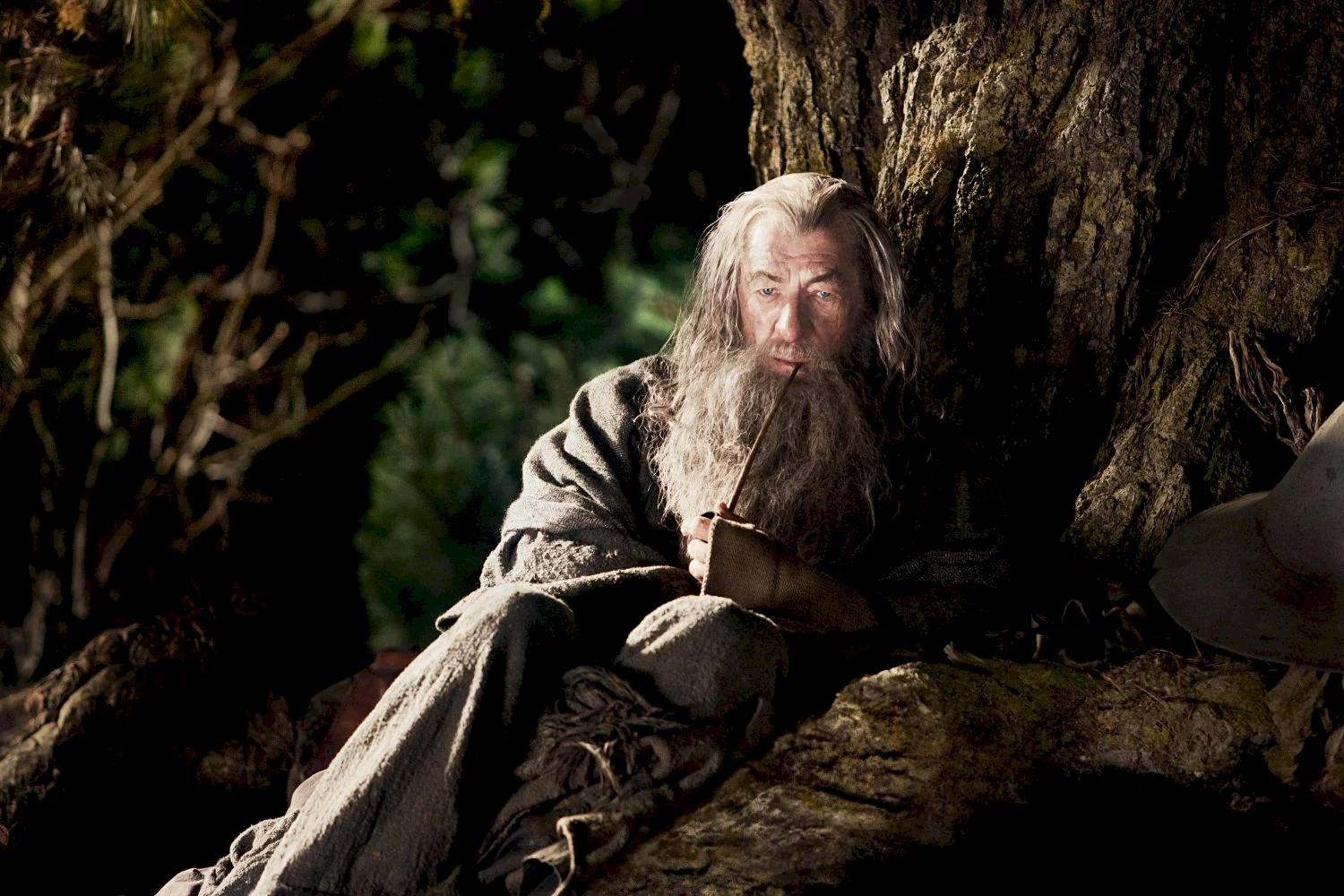 Photo 24 du film : Bilbo le Hobbit : un voyage inattendu