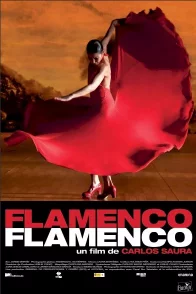 Affiche du film : Flamenco Flamenco