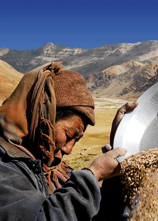 Photo 3 du film : Himalaya, la terre des femmes