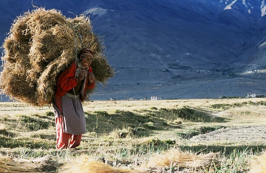 Photo 5 du film : Himalaya, la terre des femmes