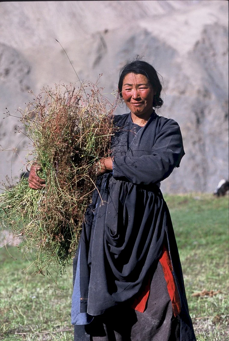 Photo 6 du film : Himalaya, la terre des femmes