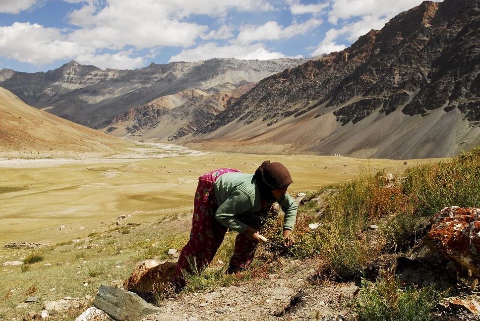 Photo du film : Himalaya, la terre des femmes