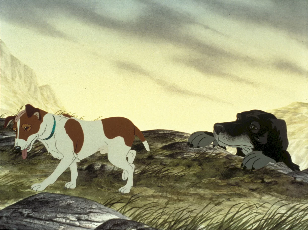 Photo 1 du film : The plague dogs