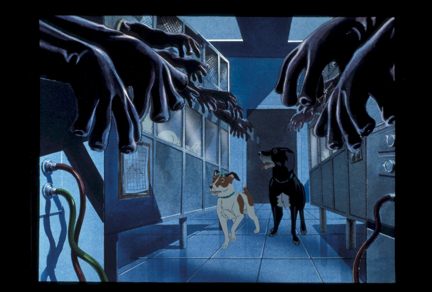 Photo 2 du film : The plague dogs