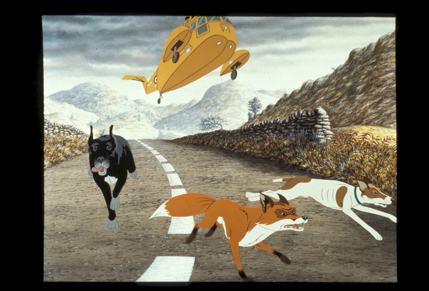 Photo 3 du film : The plague dogs