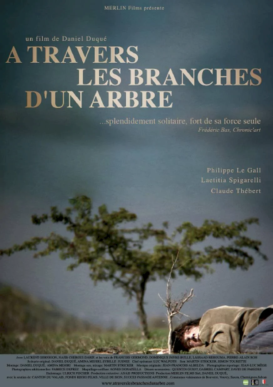 Photo du film : A travers les branches d’un arbre