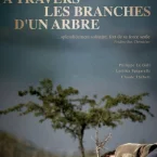 Photo du film : A travers les branches d’un arbre