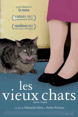 Affiche du film Les Vieux Chats