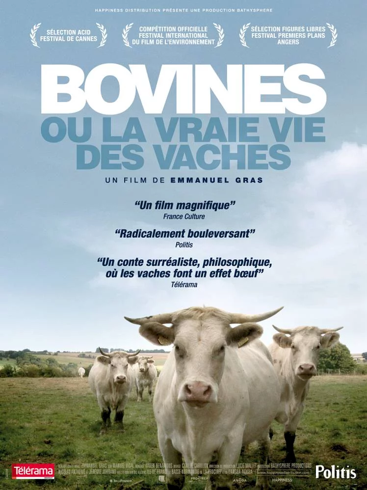 Photo 1 du film : Bovines