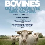 Photo du film : Bovines