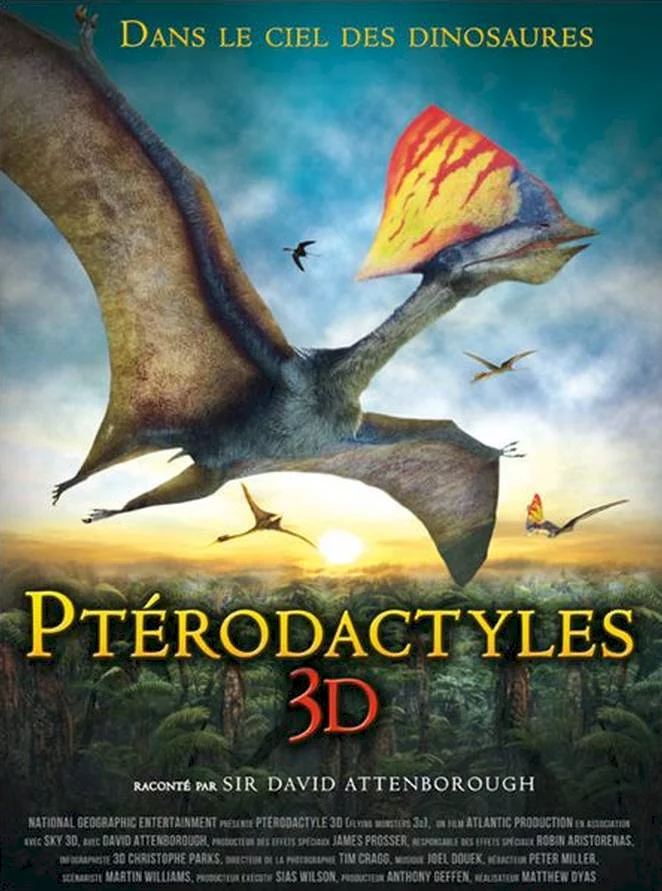 Photo 1 du film : Ptérodactyles 3D : Dans le ciel des dinosaures 