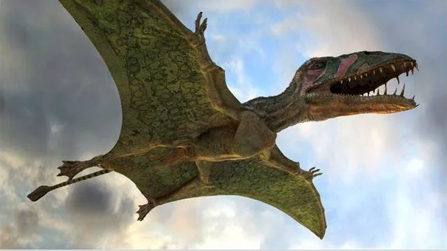 Photo 2 du film : Ptérodactyles 3D : Dans le ciel des dinosaures 