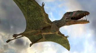 Affiche du film : Ptérodactyles 3D : Dans le ciel des dinosaures 