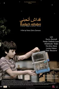 Affiche du film : Kedach Ethabni 