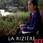 Photo du film : La Rizière