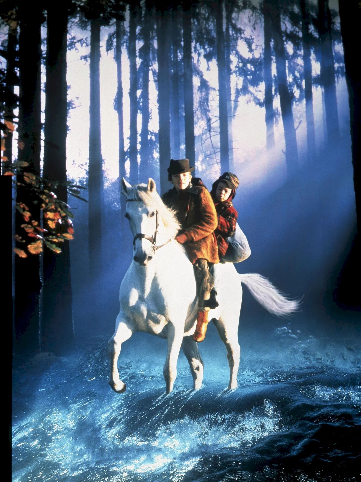 Photo du film : Le cheval venu de la mer