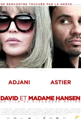 Affiche du film David et Madame Hansen