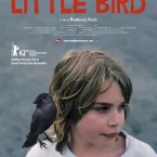 Photo du film : Little bird