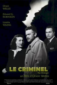 Affiche du film : Le criminel