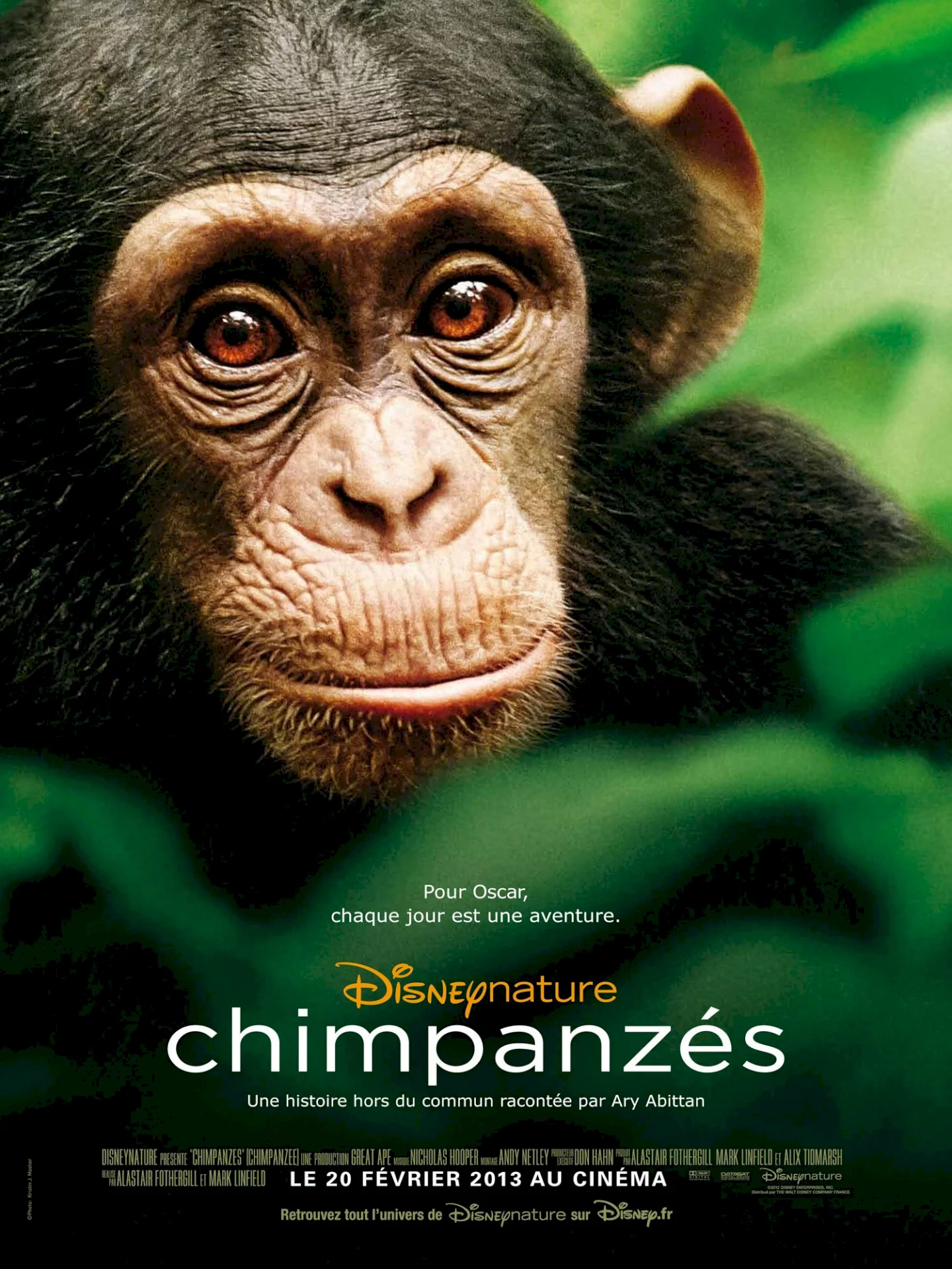Photo 1 du film : Chimpanzés