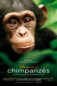 Affiche du film : Chimpanzés