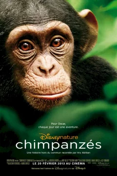 Affiche du film = Chimpanzés