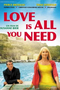 Affiche du film : Love is all you need