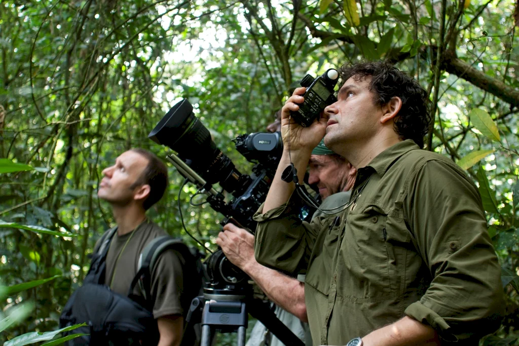 Photo 17 du film : Chimpanzés