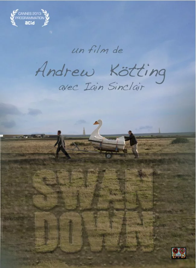 Photo 1 du film : Swandown 