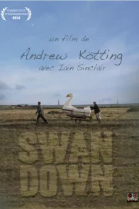 Affiche du film : Swandown 
