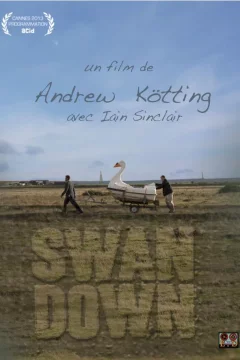 Affiche du film = Swandown 