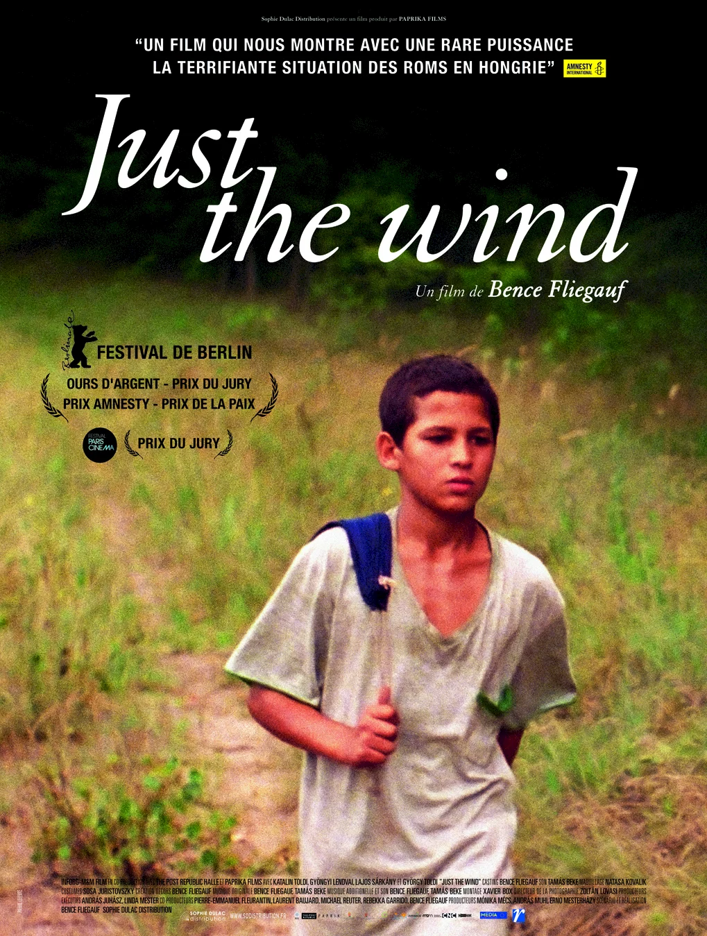Photo 1 du film : Just the wind