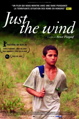 Affiche du film Just the wind