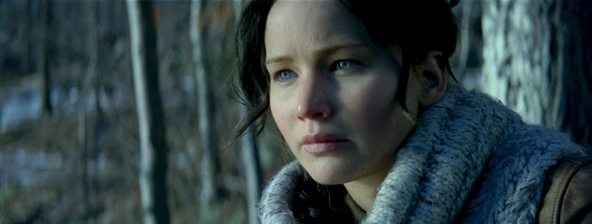 Photo 6 du film : Hunger Games  - L'embrasement 