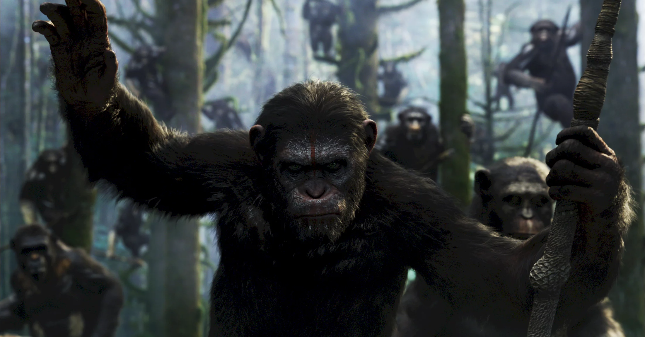 Photo du film : La planète des singes : l'affrontement