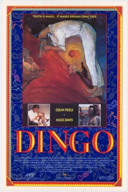 Affiche du film Dingo