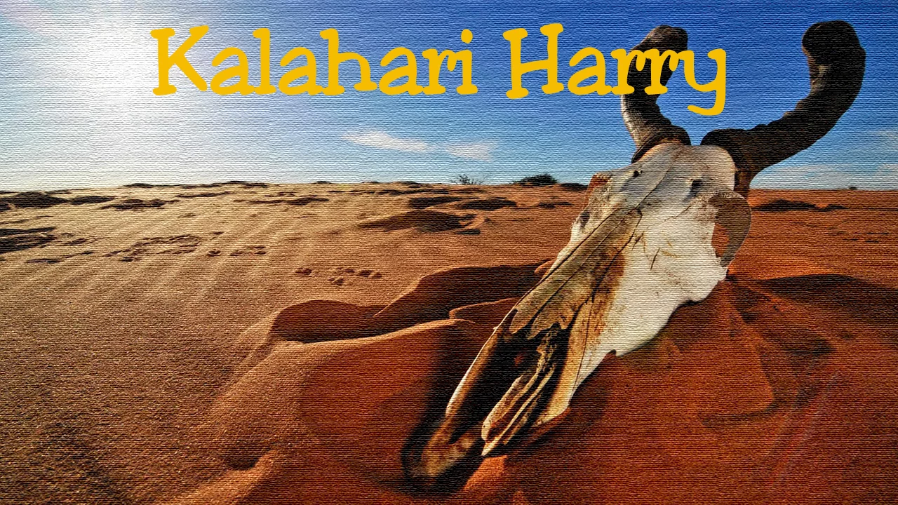 Photo 2 du film : Kalahari