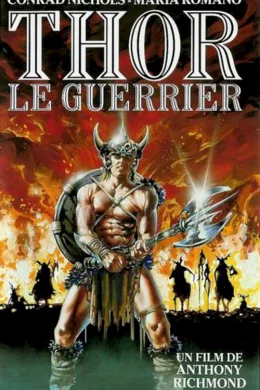 Affiche du film Le guerrier