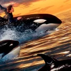 Photo du film : Sauvez willy 2