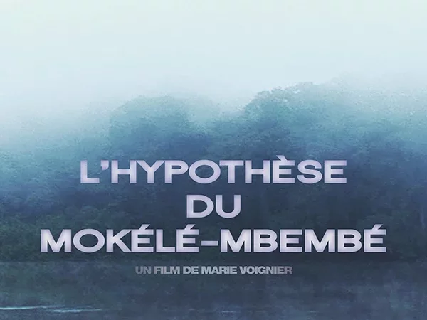 Photo du film : L'Hypothèse du Mokélé M'Bembé