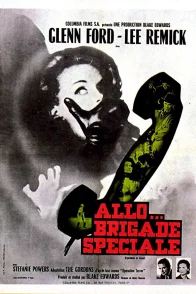 Affiche du film : Allo brigade speciale