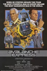 Affiche du film : Avalanche express
